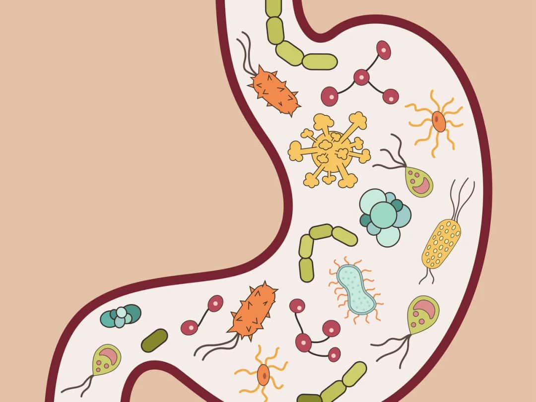 Skutki uboczne odrobaczania – co warto wiedzieć o zagrożeniach dla zdrowia