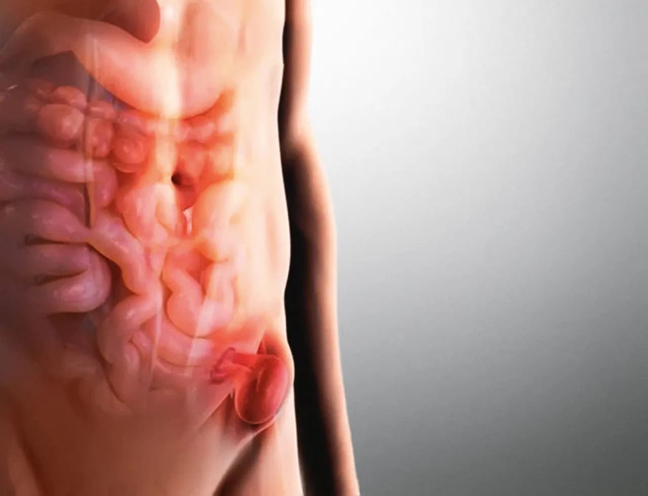 Przepuklina: do jakiego lekarza się udać? Poradnik pacjenta