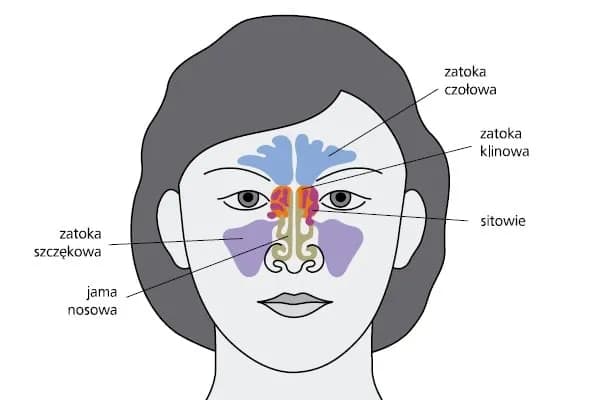Przezroczysta wydzielina z zatok: przyczyny i skuteczne leczenie