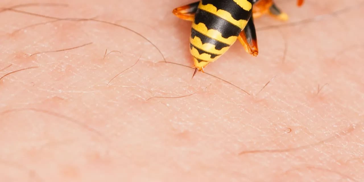 Skutki uboczne odczulania na jad osy: jakie reakcje mogą wystąpić?