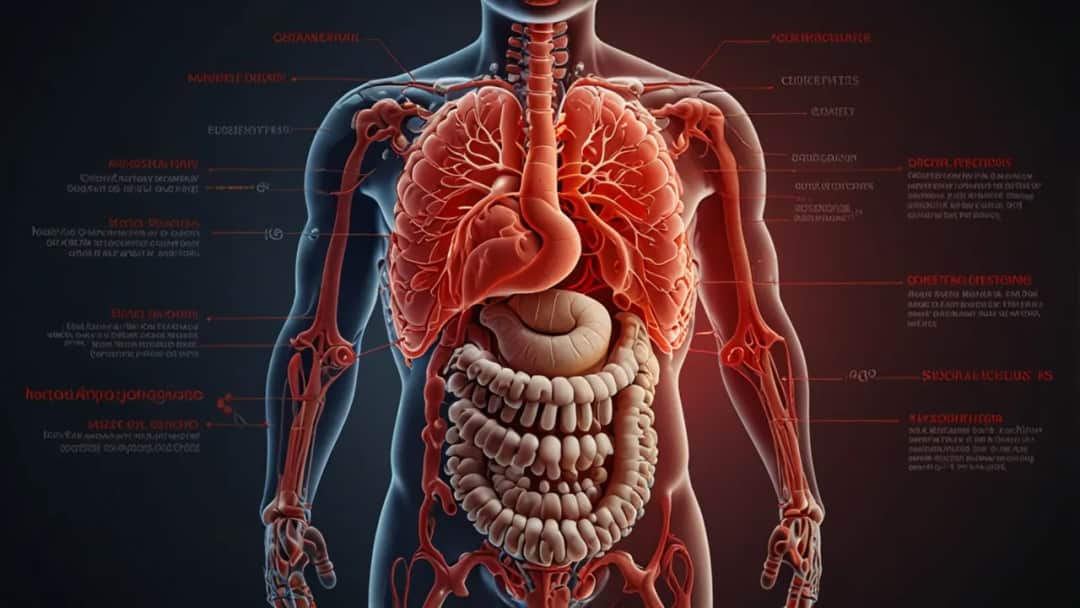 Życie bez jelita cienkiego: wyzwania i możliwości przetrwania